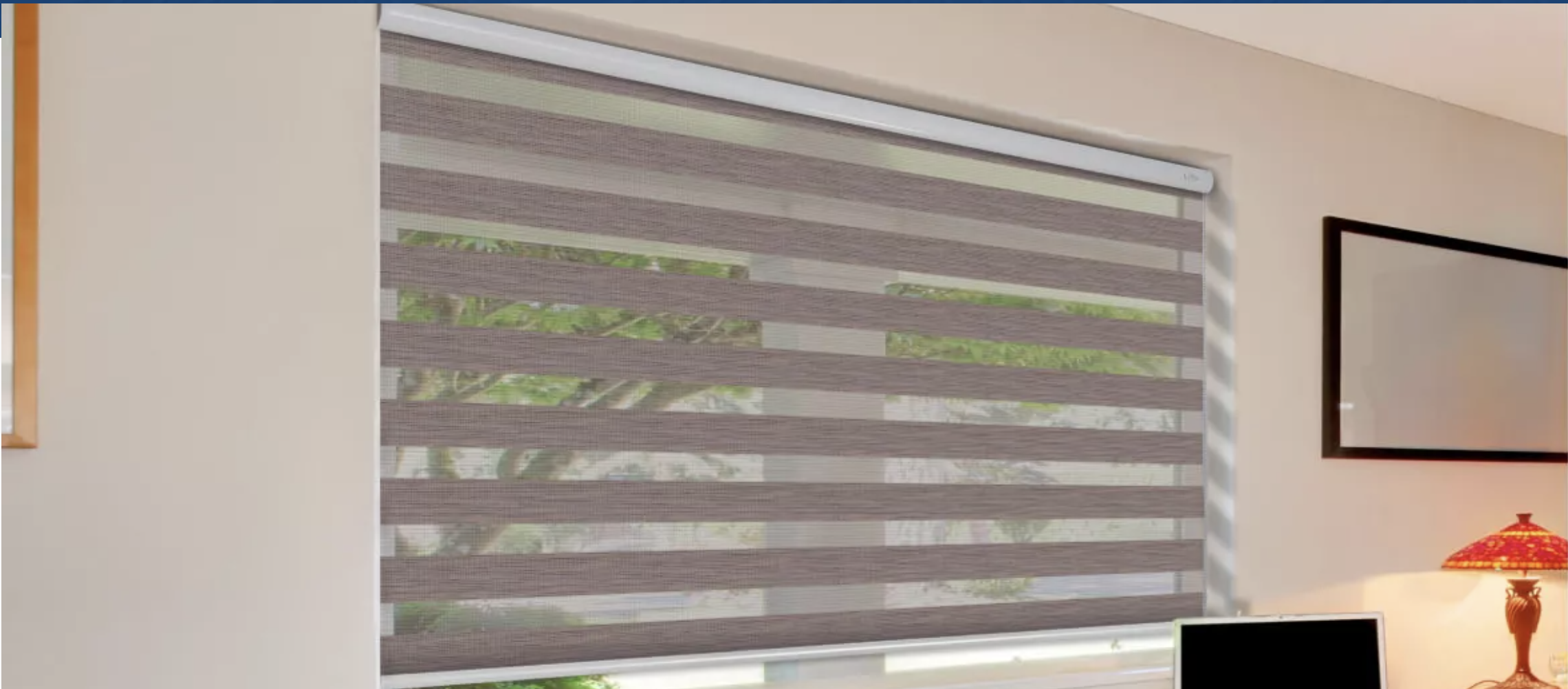 Professional zebra blinds for commercial spaces